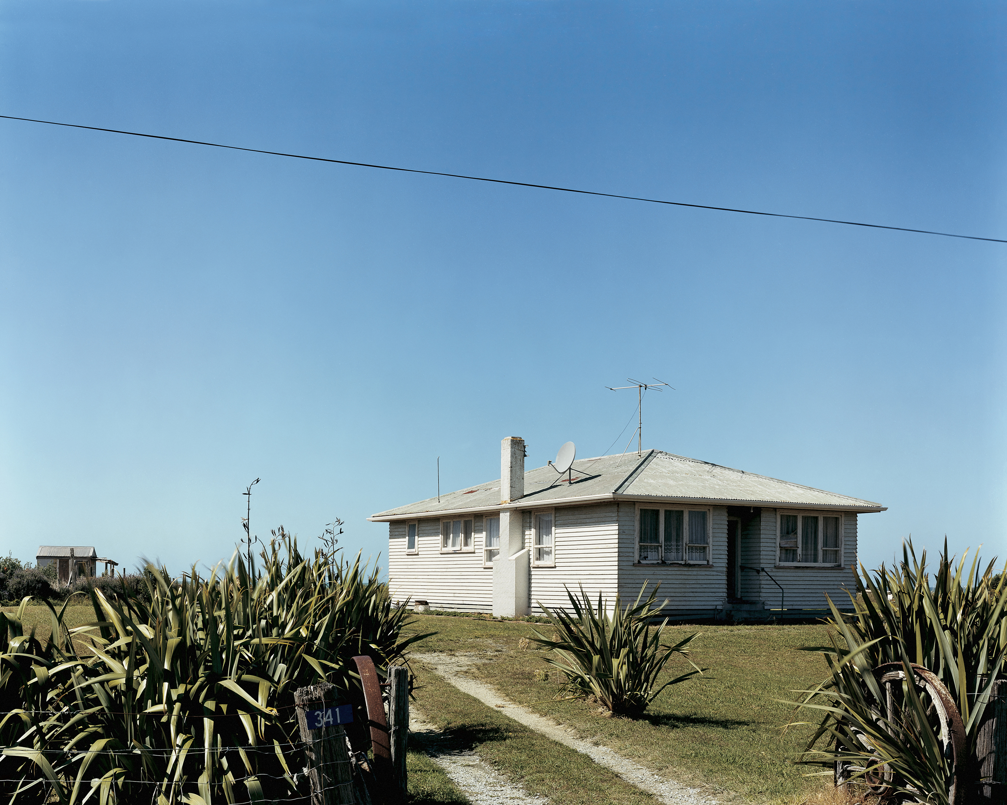 Single-story white weatherboard house surrounded by large flax plants under a clear blue sky by Derek Henderson