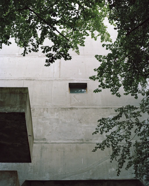Concrete building exterior with tree branches. Architectural photography showing stark, modern architecture in an urban setting.
