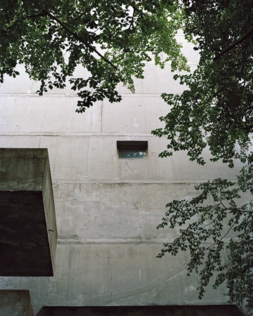 Concrete building exterior with tree branches. Architectural photography showing stark, modern architecture in an urban setting.