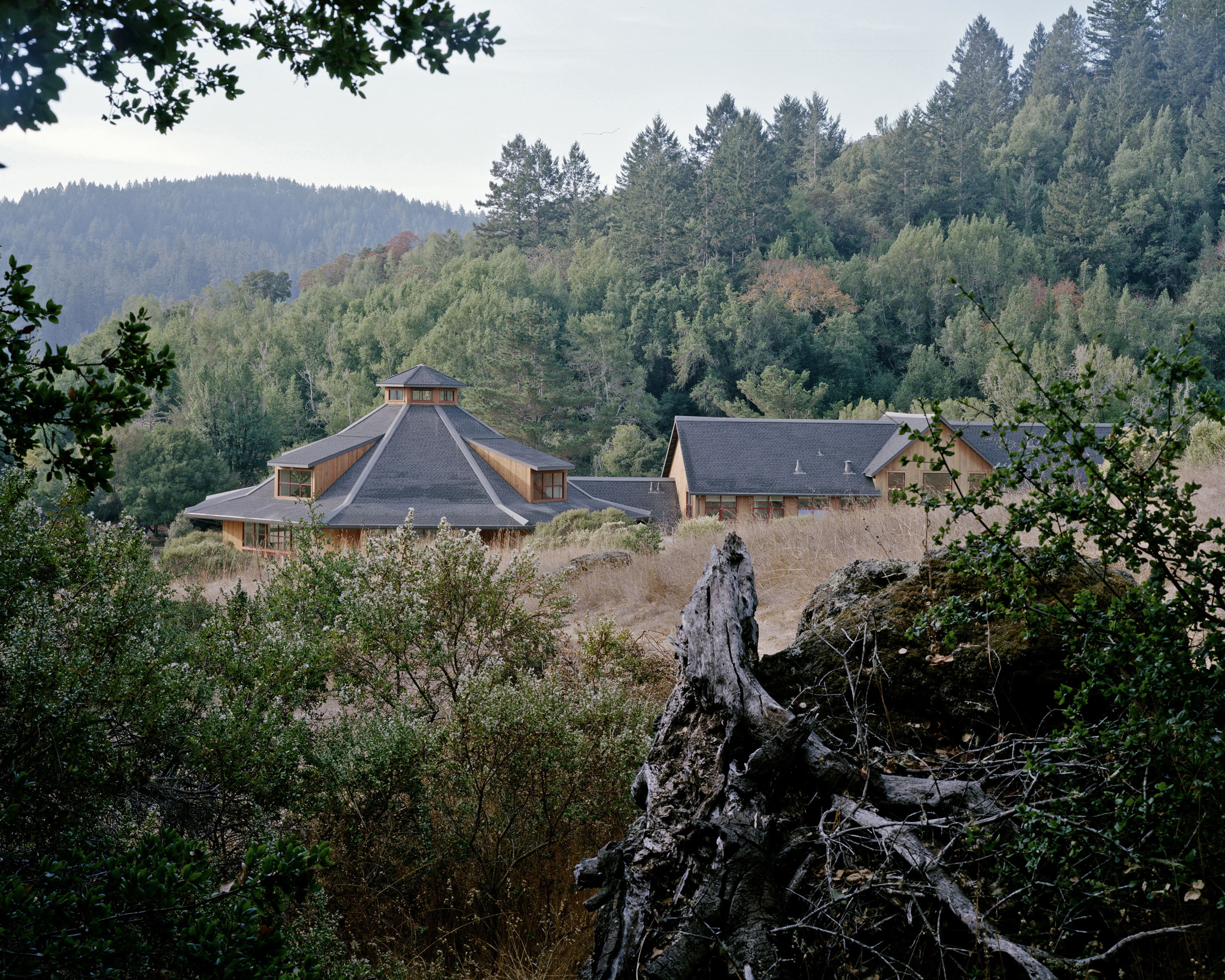 View of a sprawling wooden building complex nestled among lush green hills and trees under a soft sky, framed by branches.