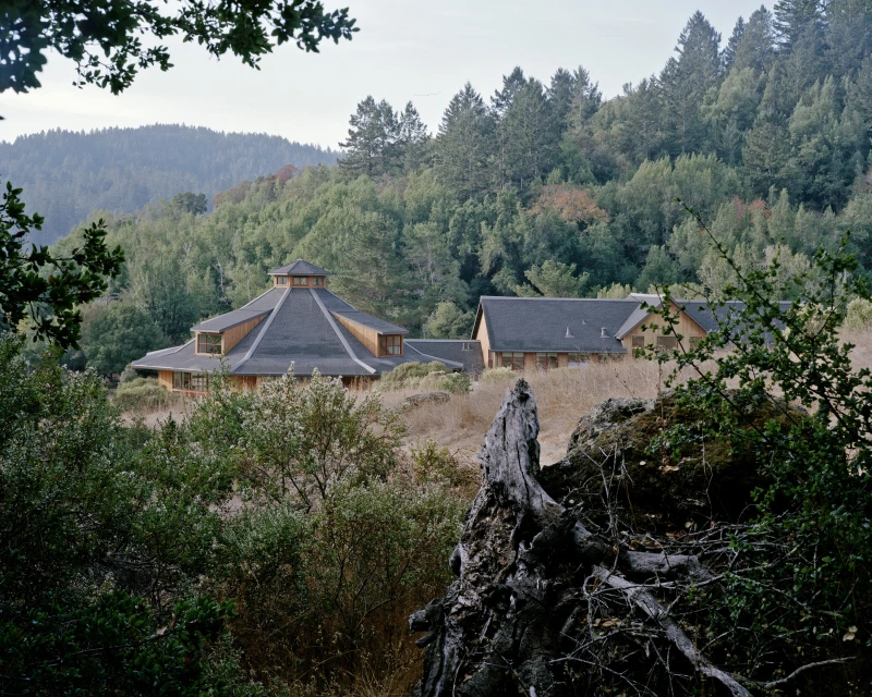 View of a sprawling wooden building complex nestled among lush green hills and trees under a soft sky, framed by branches.