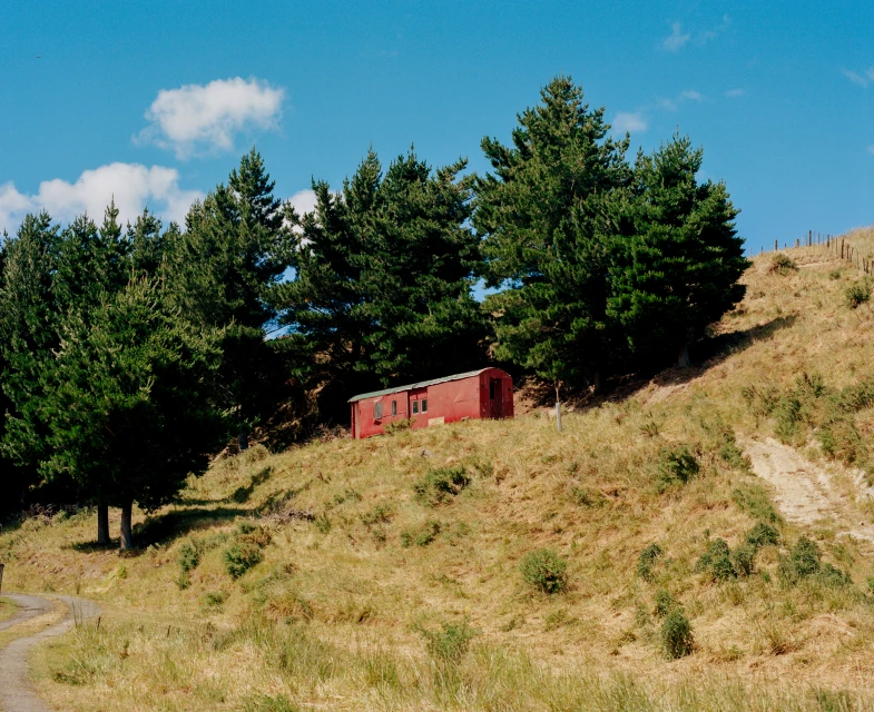 Red mobile home nestles among tall green trees on a grassy hillside under a partly cloudy sky. A dirt road winds into the scene.