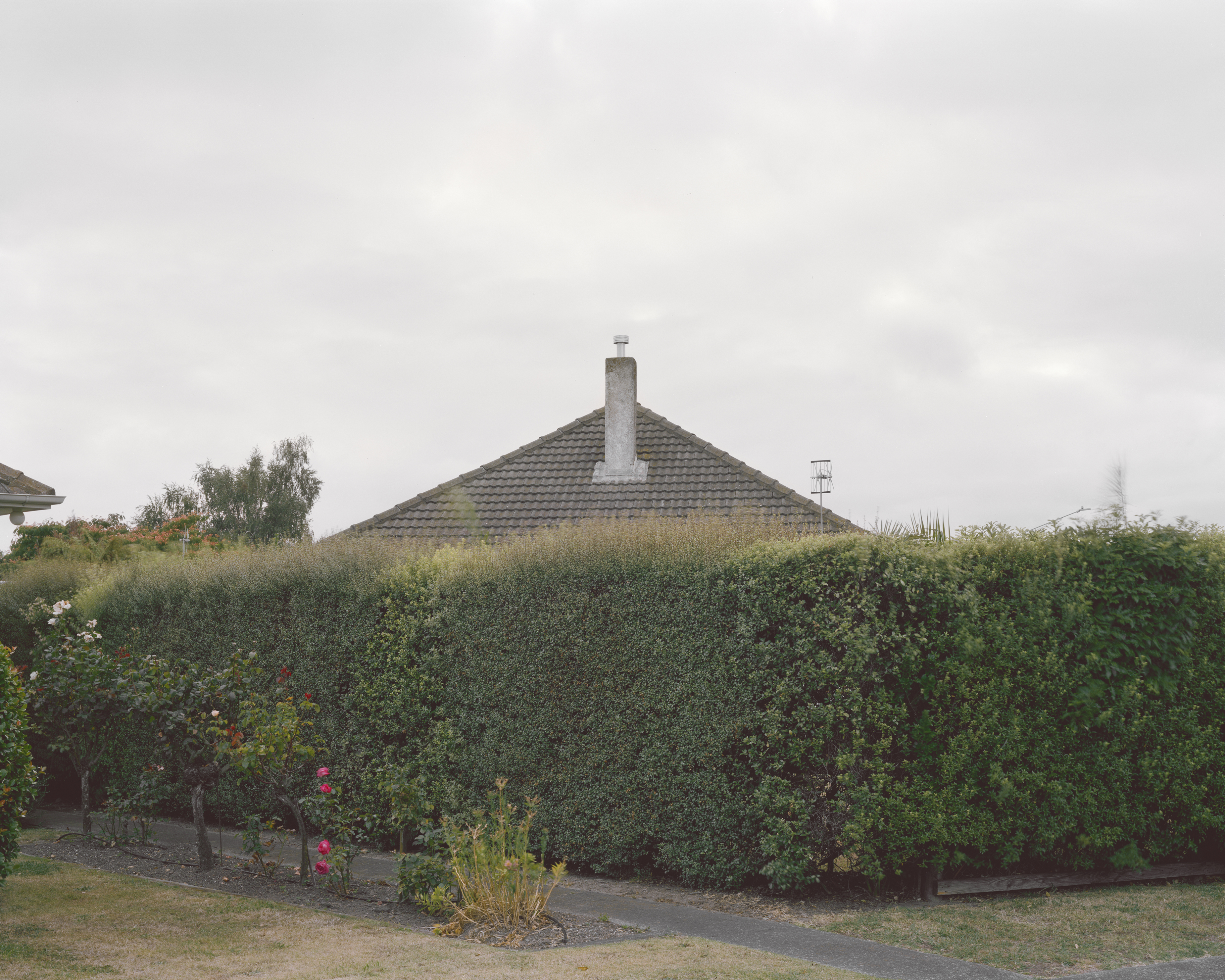 Residential house with gray roof and chimney seen behind a large, green hedge under an overcast sky, creating a sense of suburban seclusion.