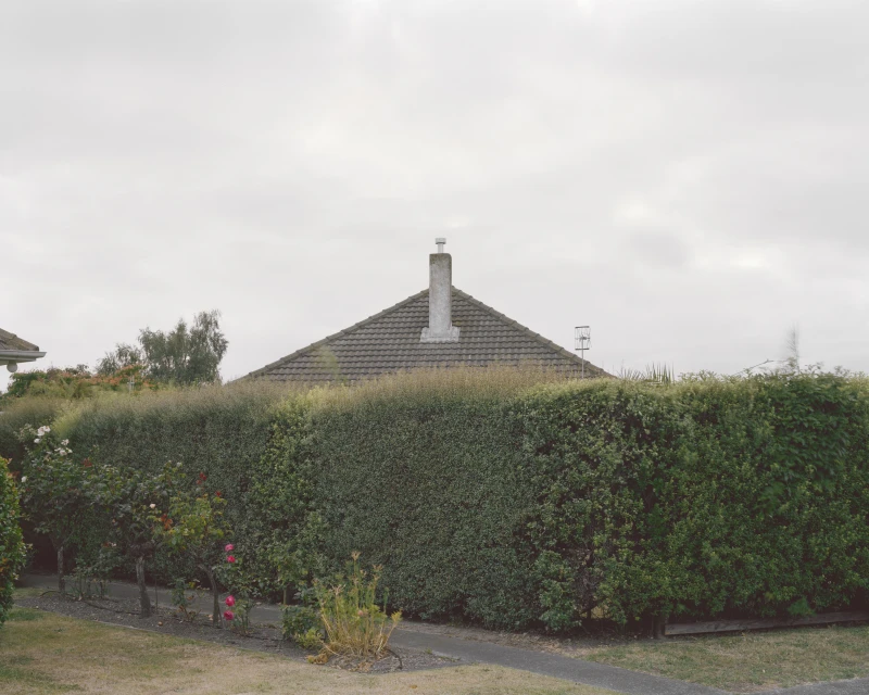 Residential house with gray roof and chimney seen behind a large, green hedge under an overcast sky, creating a sense of suburban seclusion.