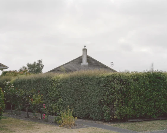 Residential house with gray roof and chimney seen behind a large, green hedge under an overcast sky, creating a sense of suburban seclusion.
