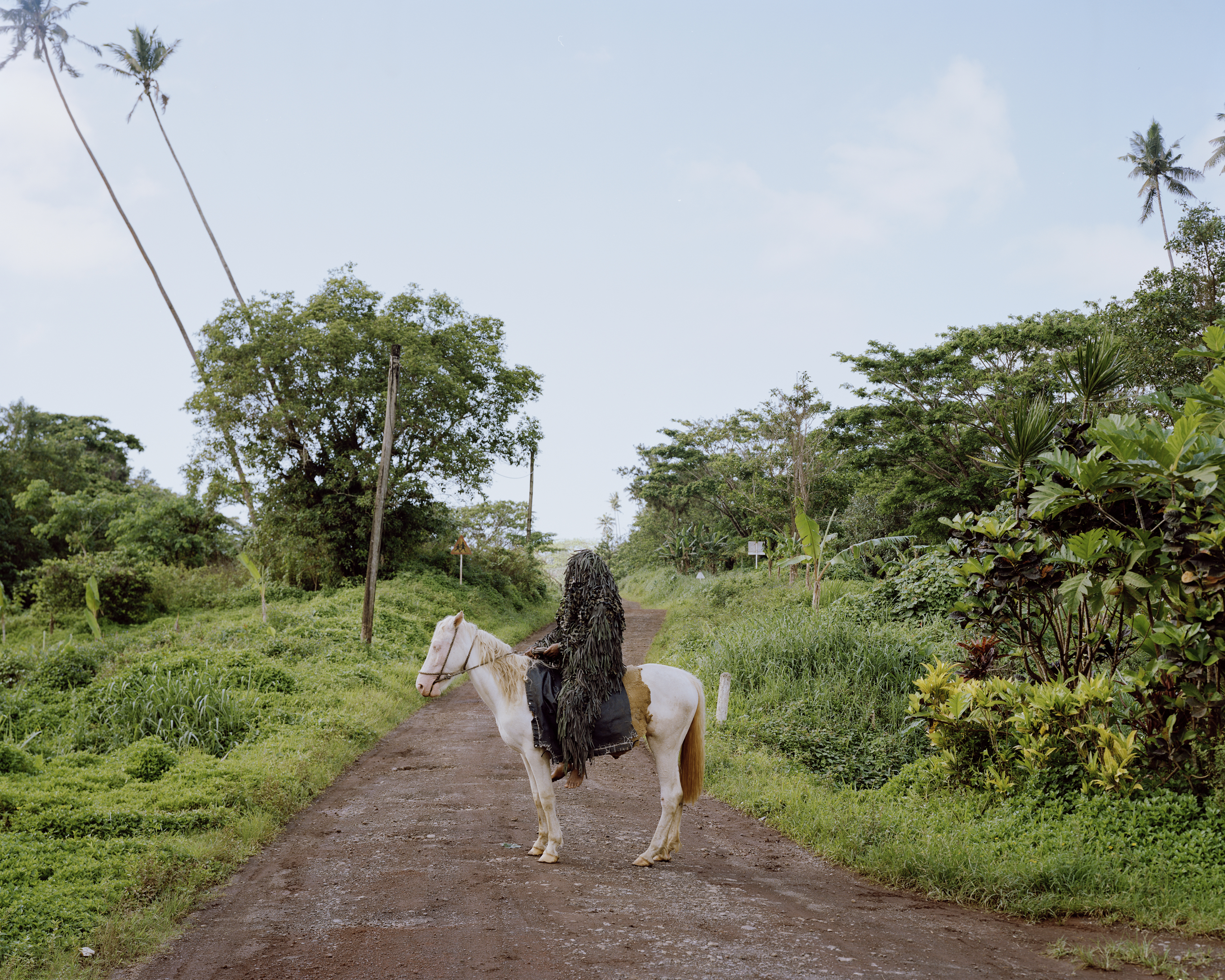 White and brown horse with a person in a ghillie suit riding on a dirt road, surrounded by green tropical foliage under a light sky.