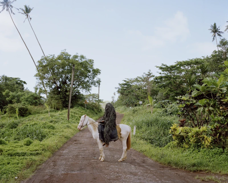 White and brown horse with a person in a ghillie suit riding on a dirt road, surrounded by green tropical foliage under a light sky.