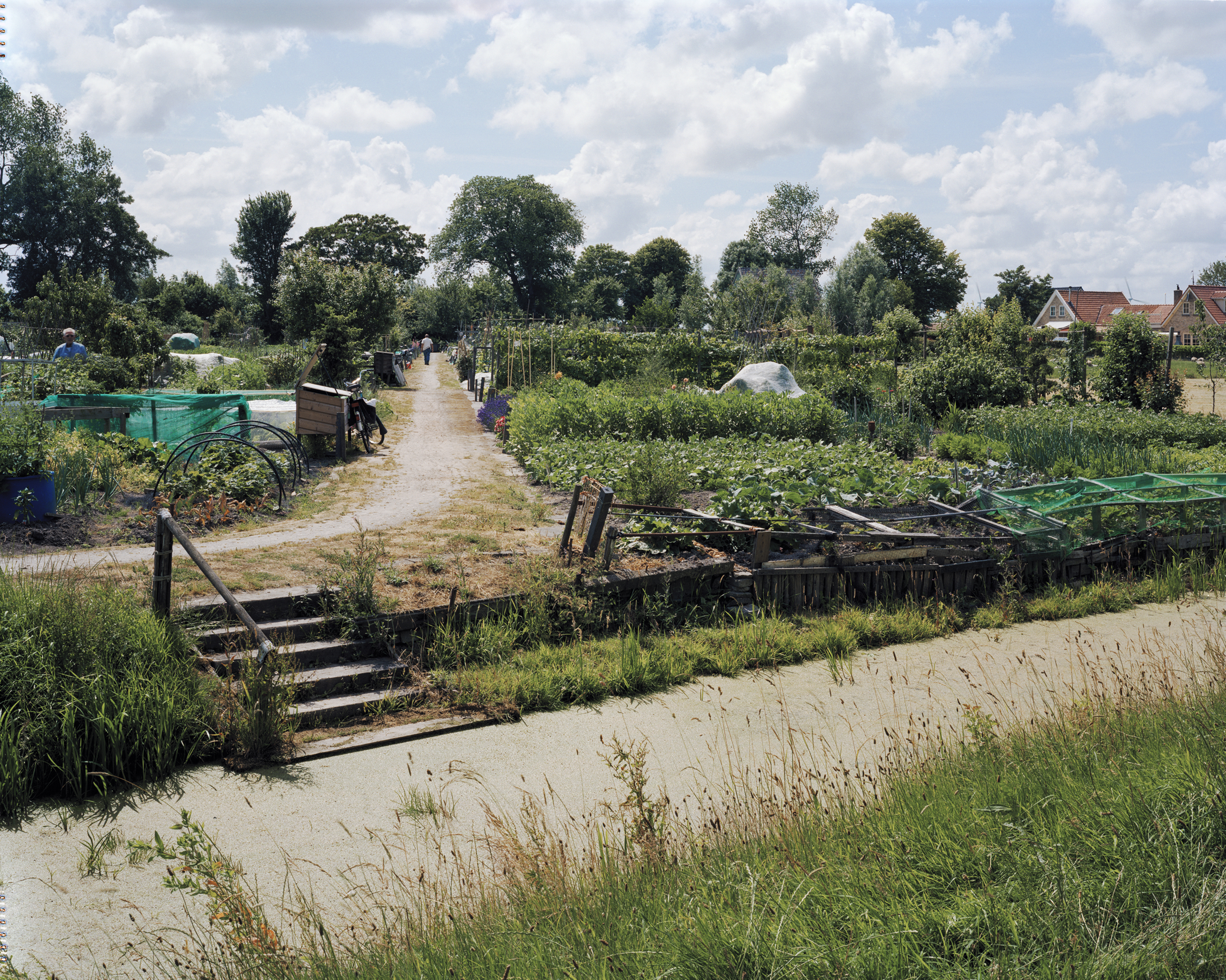 An aerial view of a community garden featuring various plants, garden plots, walking paths, and a small waterway.