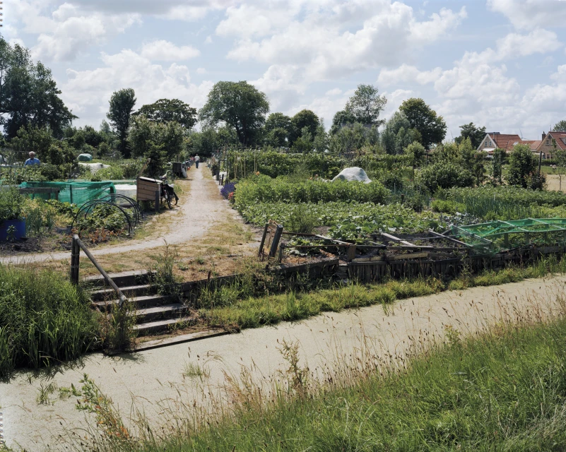 An aerial view of a community garden featuring various plants, garden plots, walking paths, and a small waterway.