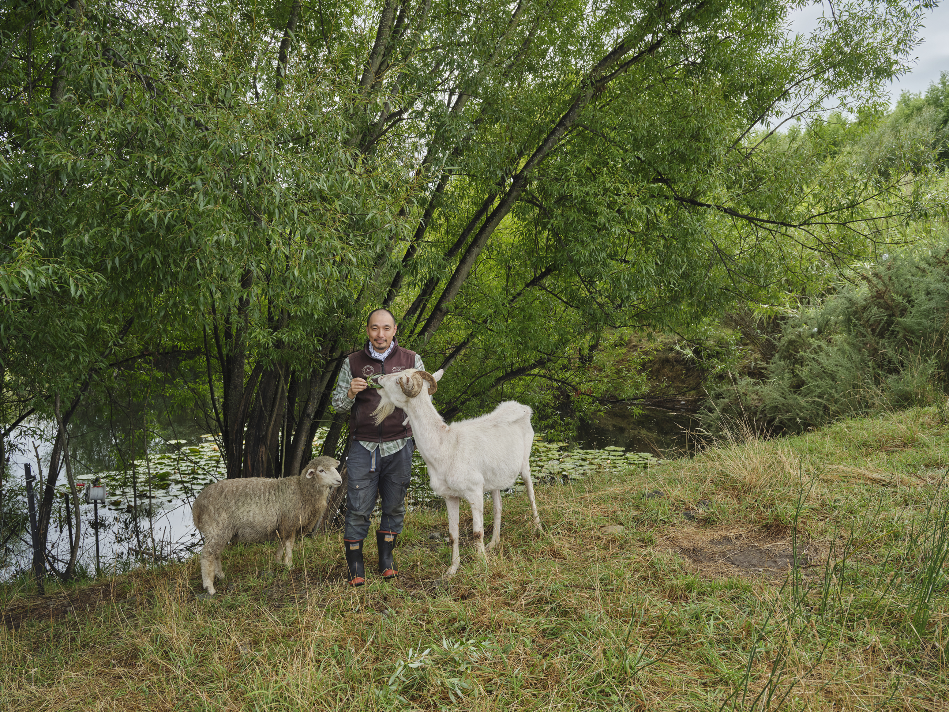 A man stands in a rural landscape with a sheep and a goat. The scene features a verdant backdrop of trees and glimpses of water.