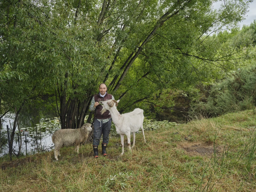 A man stands in a rural landscape with a sheep and a goat. The scene features a verdant backdrop of trees and glimpses of water.