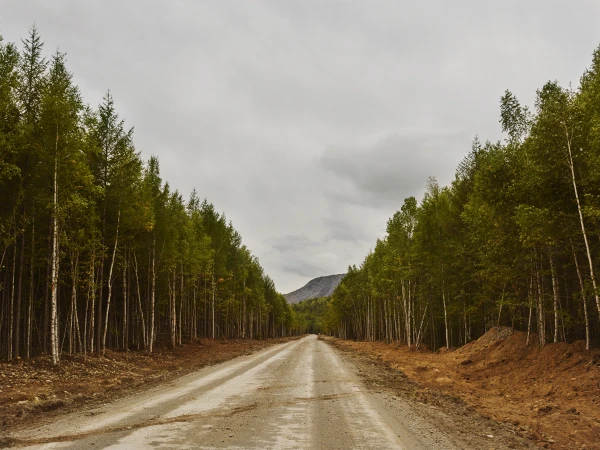 Dirt road passes between tall green trees under a cloudy sky, leading toward a distant mountain in a natural landscape.