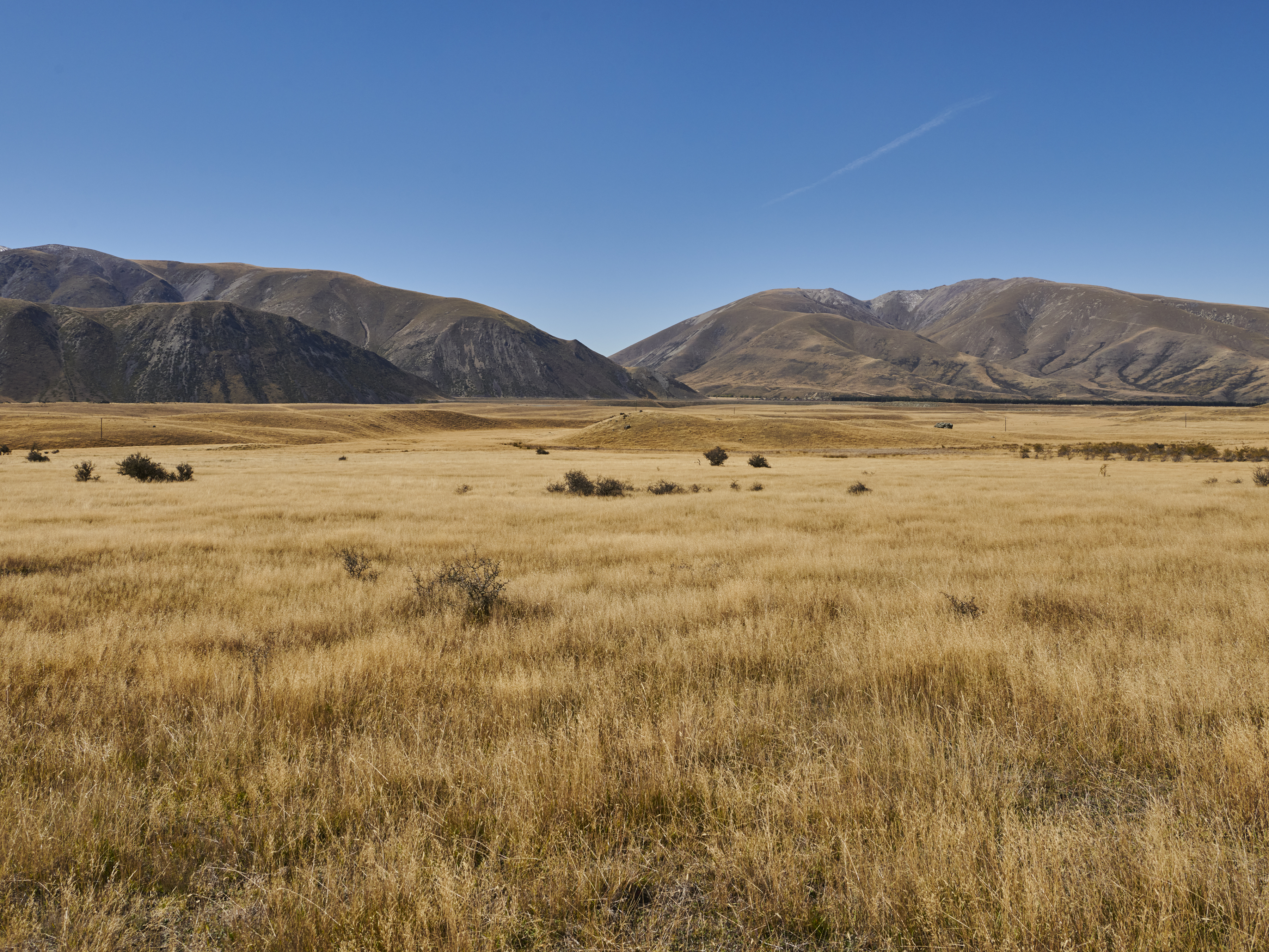 Vast grassland under a blue sky with mountains in the distance, creating a serene and expansive landscape.