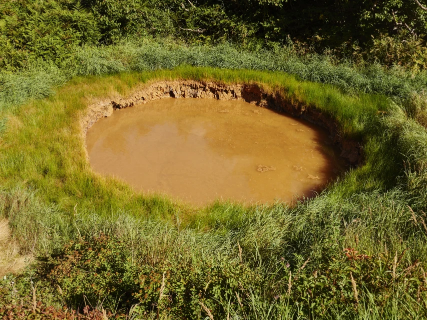 Earthen pond or mud pit filled with brown water, surrounded by green grass and foliage under natural daylight outdoors.