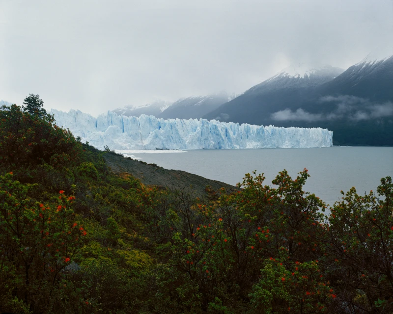 Scenic landscape featuring a glacial formation next to a body of water and lush green vegetation in the foreground under an overcast sky.
