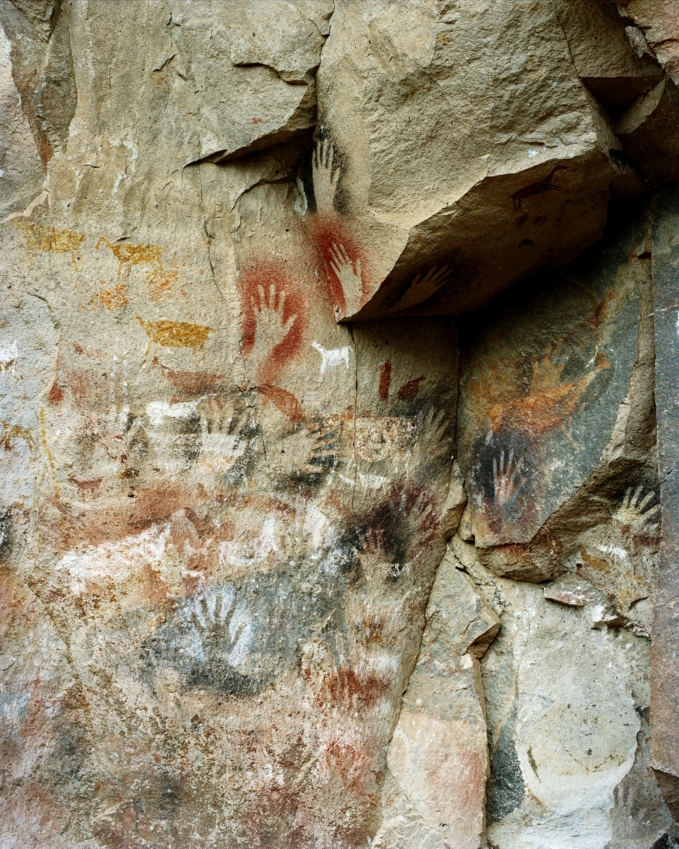 Rock wall with ancient hand paintings in red, white, black, and yellow pigment in a cave setting with rough stone texture.