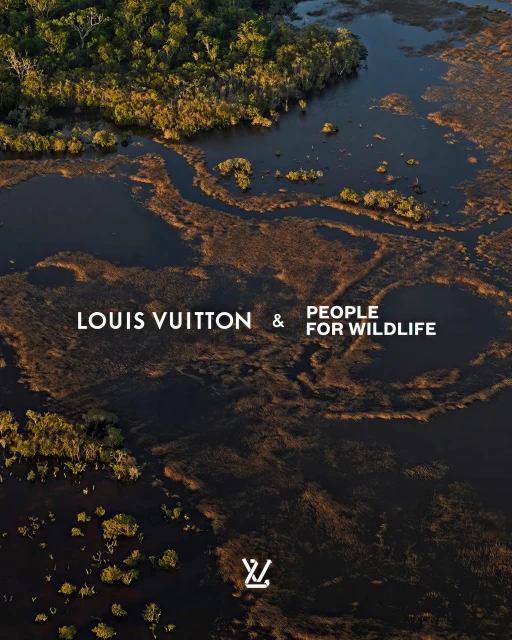 Aerial view of marshland and trees, promoting a collaboration between Louis Vuitton and People for Wildlife, featuring the LV logo.