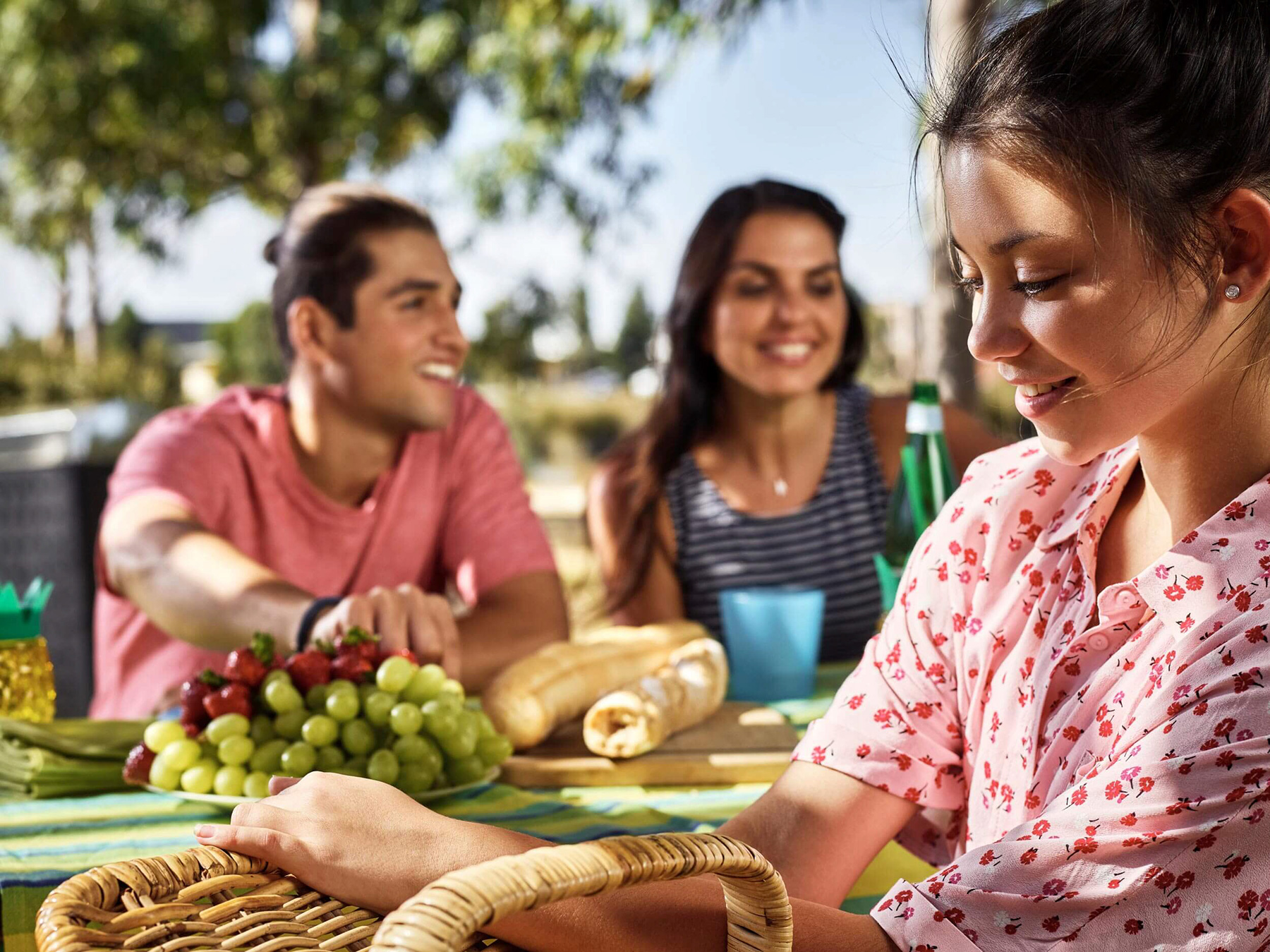 Outdoor picnic scene features a young woman, adult male, and adult female, with bread, grapes, and a picnic basket on a striped tablecloth.