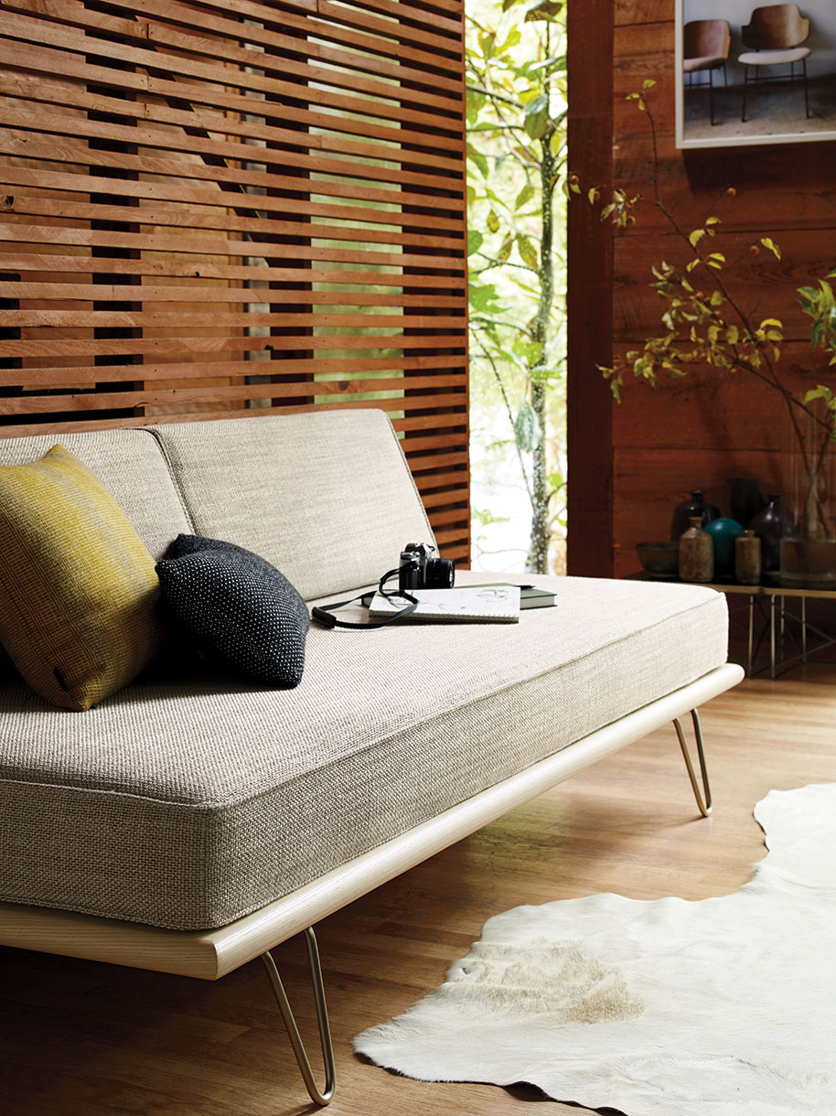 Beige daybed with pillows and a camera on top, set in a natural light-filled room with wood paneling and a light wood floor.