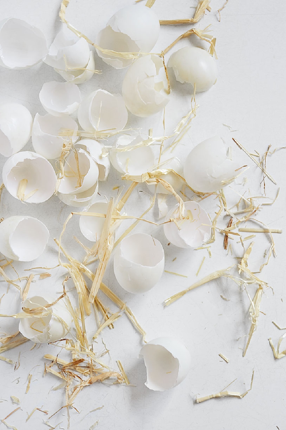 Scattered eggshells with straw on a white surface, capturing a minimalistic food still life with natural elements.