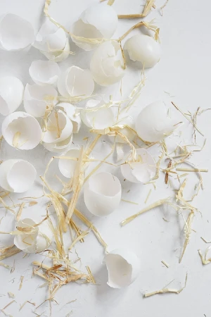 Scattered eggshells with straw on a white surface, capturing a minimalistic food still life with natural elements.