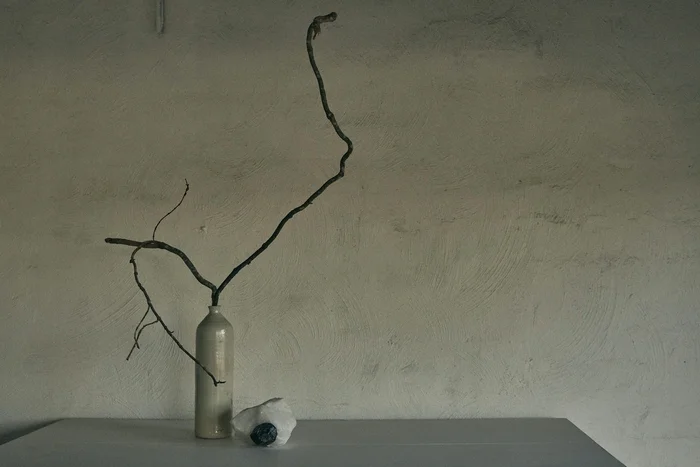 Minimalist still life with a ceramic vase holding a gnarled branch and a small dark stone on a table against a textured plaster wall.
