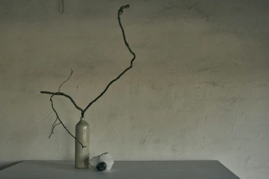 Minimalist still life with a ceramic vase holding a gnarled branch and a small dark stone on a table against a textured plaster wall.