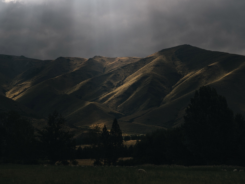 Scenic view of sunlit mountain range, grassy field and trees under a cloudy sky, creating a dramatic and peaceful nature landscape.