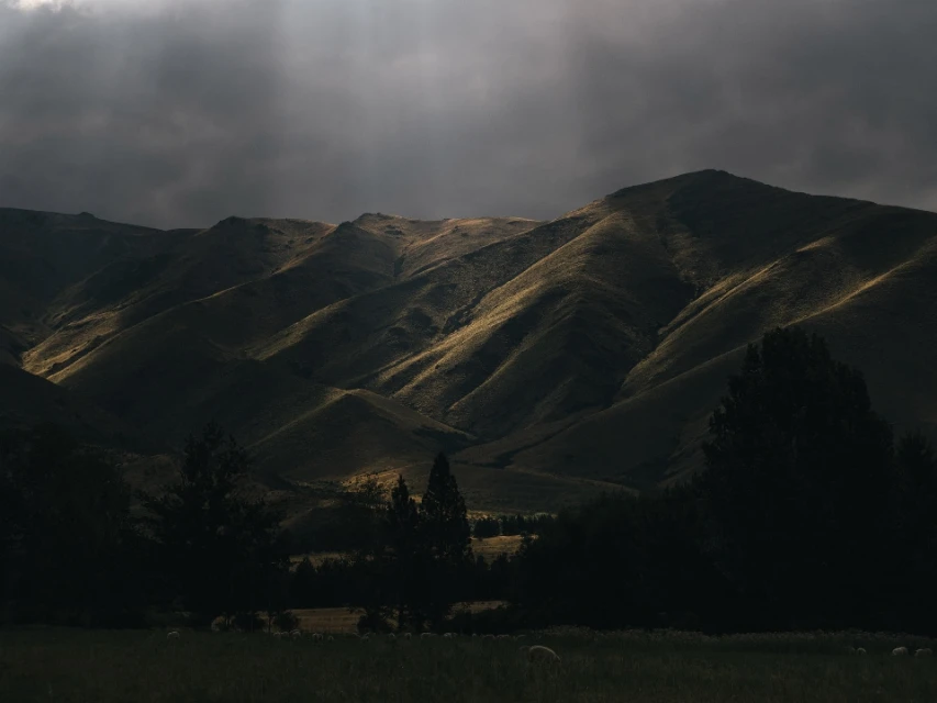 Scenic view of sunlit mountain range, grassy field and trees under a cloudy sky, creating a dramatic and peaceful nature landscape.