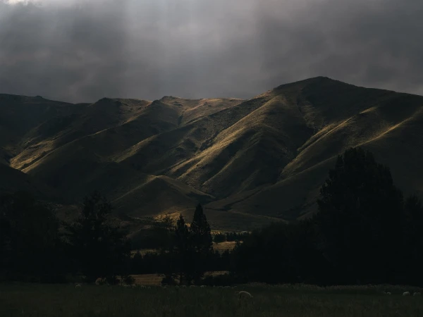 Scenic view of sunlit mountain range, grassy field and trees under a cloudy sky, creating a dramatic and peaceful nature landscape.