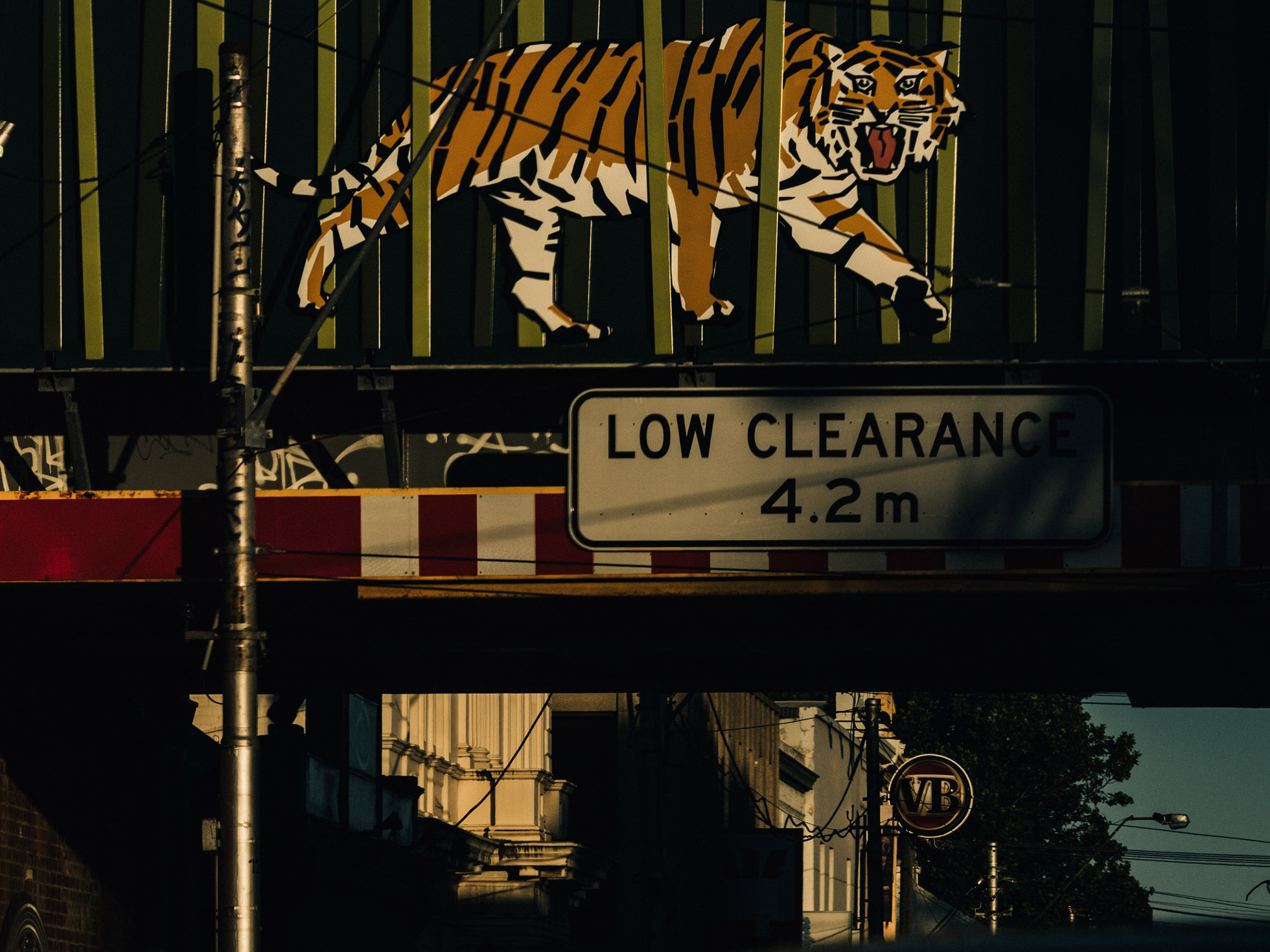 Illustration of a tiger above a low clearance sign, with buildings visible in the background, captured during the daytime.