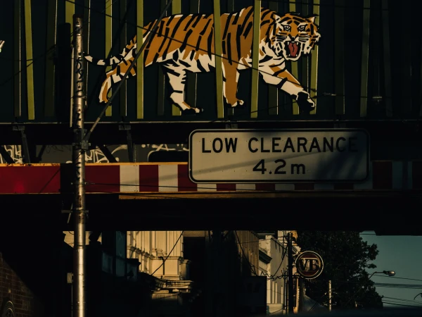 Illustration of a tiger above a low clearance sign, with buildings visible in the background, captured during the daytime.