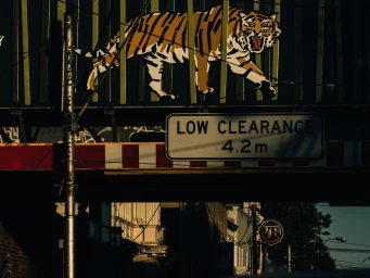 Painted tiger mural on a pedestrian overpass with a low clearance sign above a city street in Sydney, captured by Andy Hatton.
