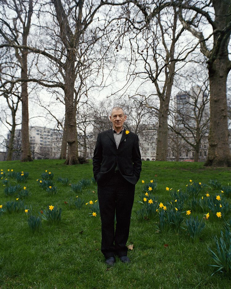 Full shot of a mature man in a suit standing in a field of daffodils with trees and buildings in the background on an overcast day.