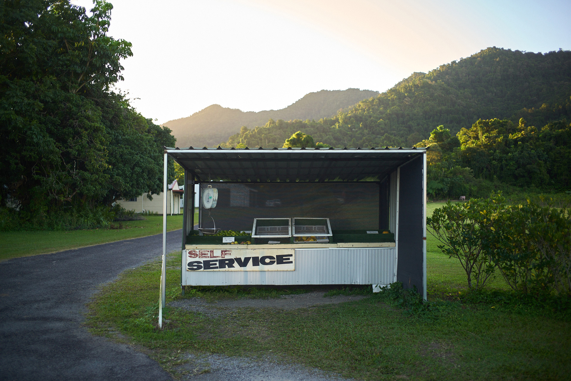 Outdoor self-service stand with produce under a corrugated metal roof, set against a backdrop of lush, green mountains and trees.