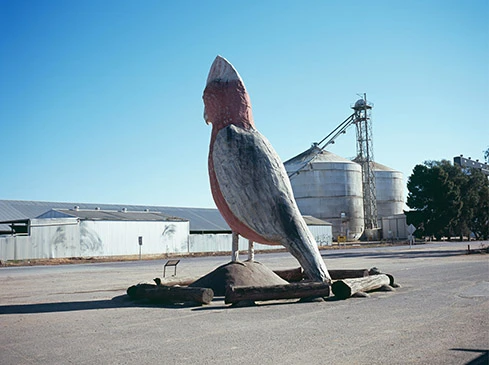 A large cockatoo sculpture stands prominently on display in a rural area with grain silos and sheds under a clear blue sky.