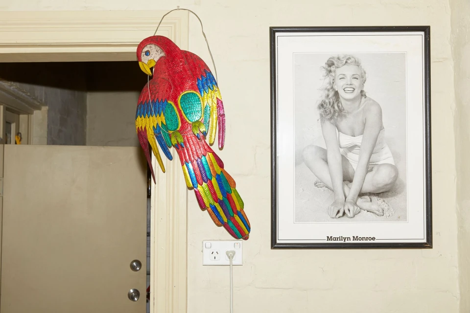 Colourful toy parrot and a framed black and white print of Marilyn Monroe are displayed indoors on a cream colored wall.