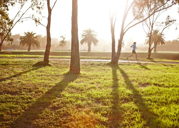 Runner jogging along a path in a Sydney park during sunset, captured by photographer Stuart Miller.