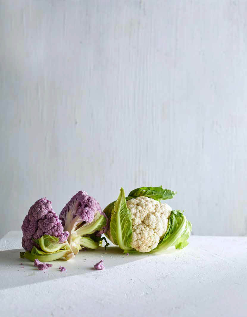 Two cauliflower heads, one purple and one white, are arranged on a bright white surface with a white wall background, in a food photography style.