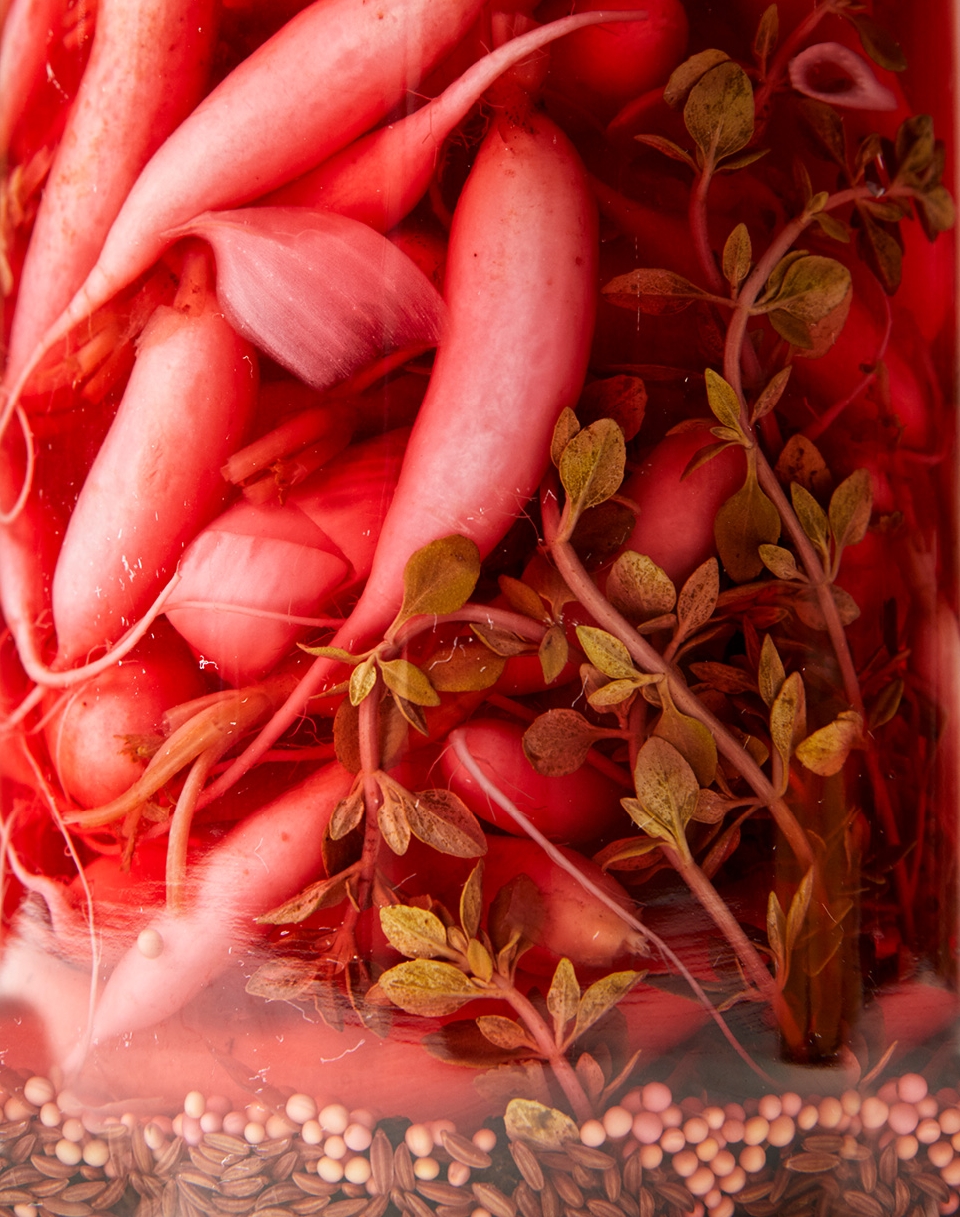 Close-up shot of pickled radishes and herbs submerged in vibrant red brine within a glass jar, showing off their textures and colors.