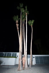 A woman standing between tall palm trees at night in front of a modern house exterior.