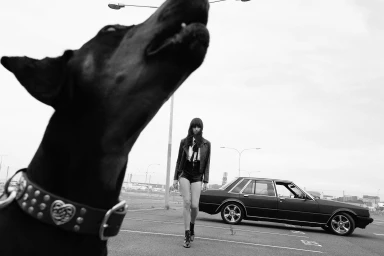 Close-up silhouette of a black dog with a spiked collar in the foreground while a woman walks in an outdoor parking lot