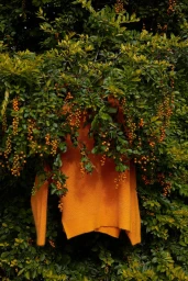 An orange knit sweater hanging amidst lush green foliage and dangling yellow berry clusters.