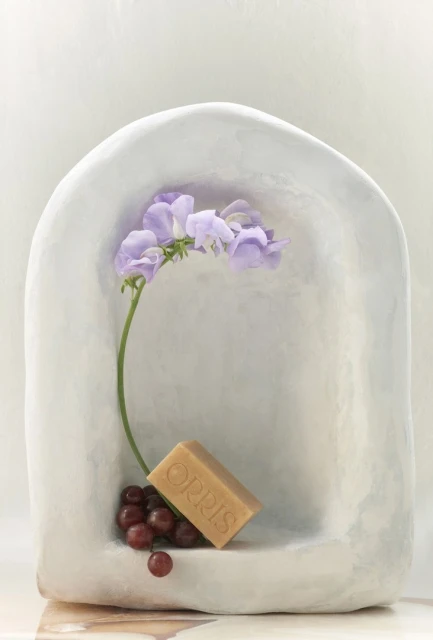 Still life photo of a light brown bar of soap balanced on a small cluster of dark red grapes, alongside light purple flowers in a niche.
