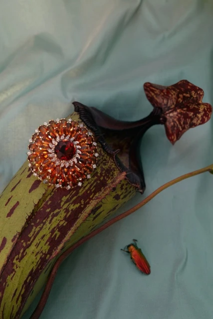 A gemstone brooch sits on a green pitcher plant near an iridescent beetle against a pale blue fabric backdrop in an indoor setting.