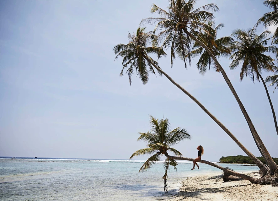 Woman in black swimsuit sits on a palm tree at a tropical beach with clear blue sky, turquoise water, and white sand.