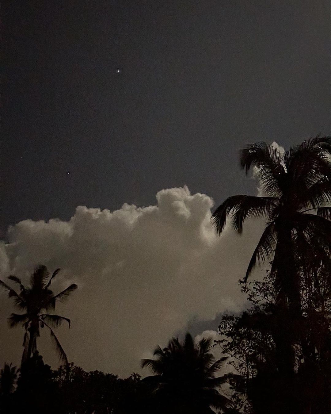 Night scene featuring palm trees silhouetted against a cloudy sky, lit by moonlight or starlight. Tropical evening or nighttime.