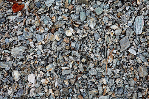 Detailed overhead shot of a natural rocky surface texture, showing a collection of stones, pebbles, and some dried leaves. 