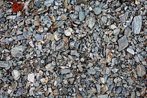 Detailed overhead shot of a natural rocky surface texture, showing a collection of stones, pebbles, and some dried leaves. 
