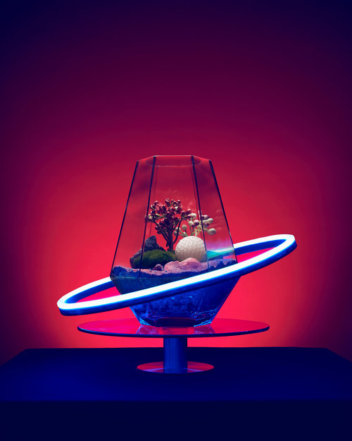 Terrarium in a glass geometric container sits on a table with ring lighting against a red background, creating a modern still life.